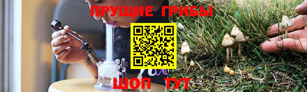 Псилоцибиновые грибы прущие грибы Куйбышев